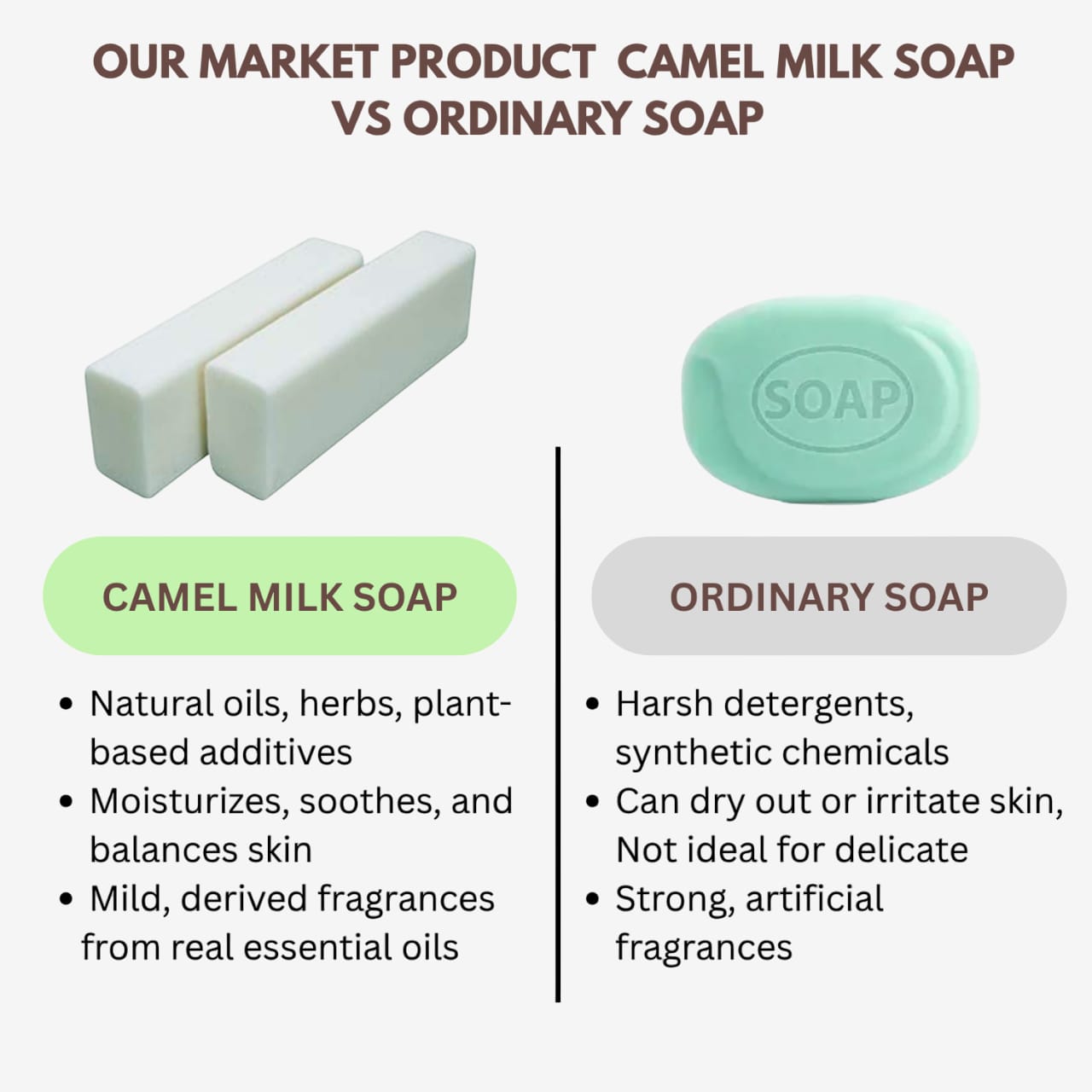 Veena Camel Milk Soap Base - 1kg