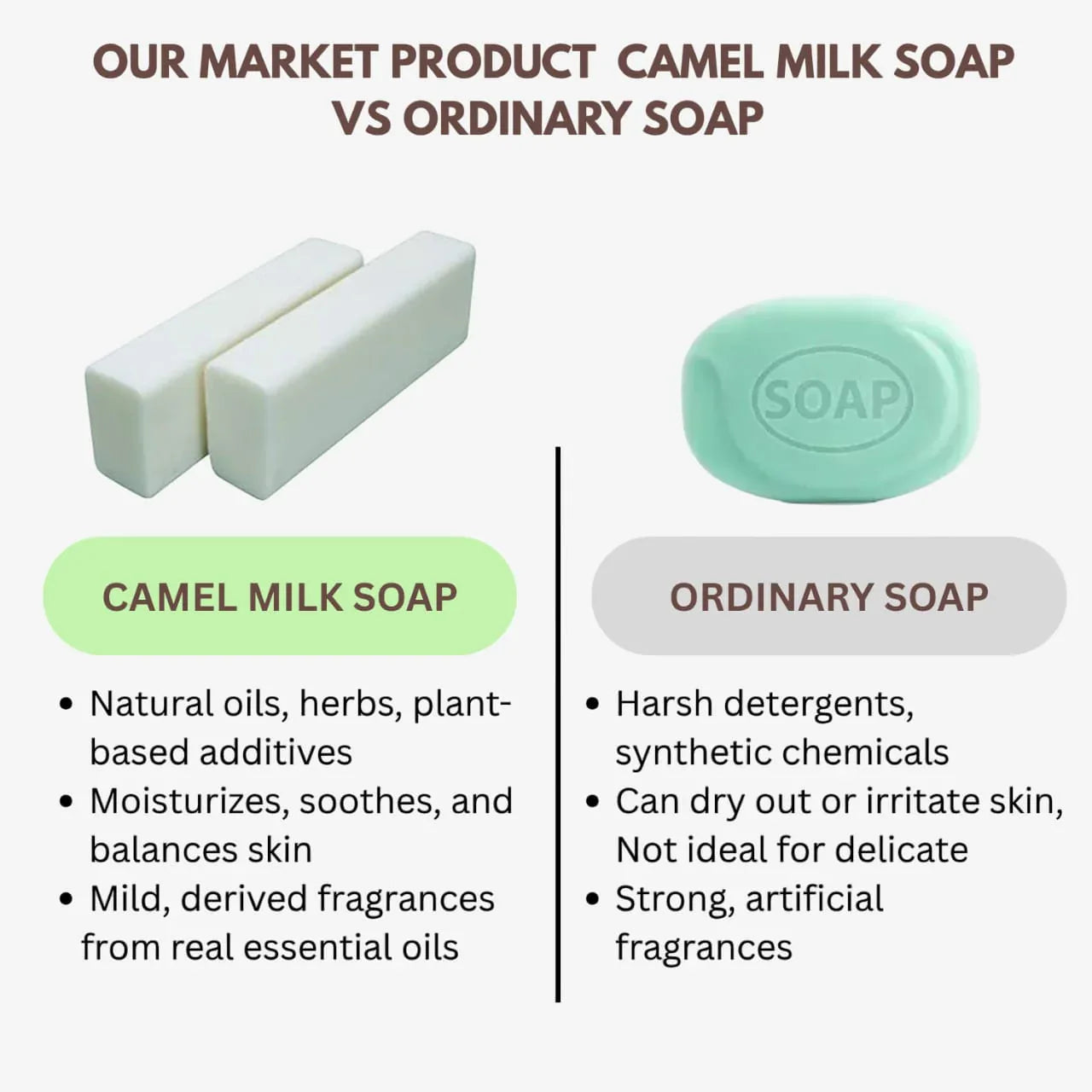 Veena Camel Milk Soap Base - 1kg - Orgoshops