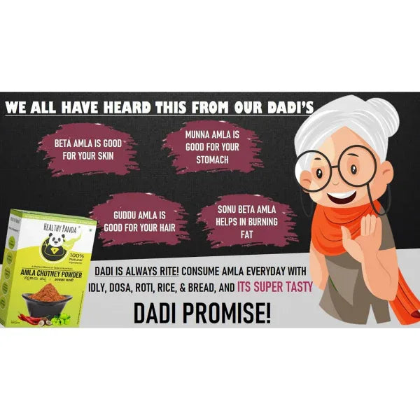 Healthy Panda Amla Chutney Powder - 300 g (100g Pack of 3) - Orgoshops