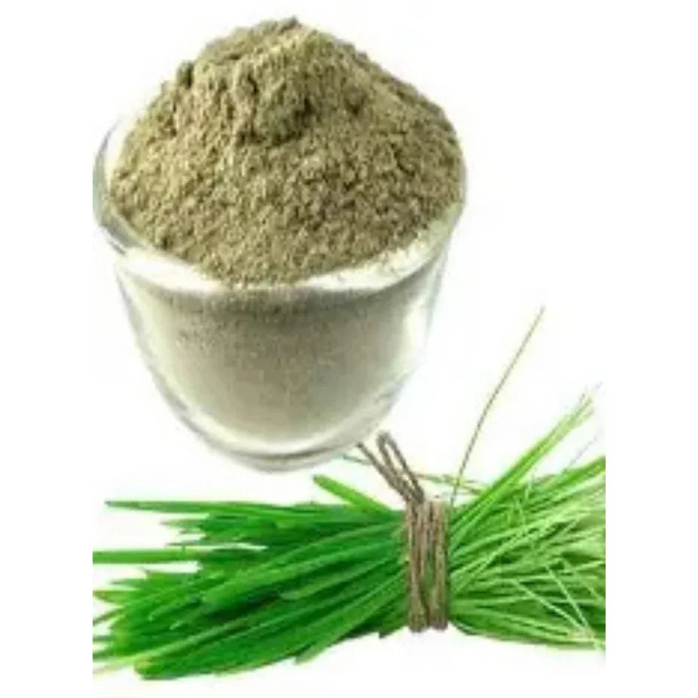 Arugampul Powder (Bermuda Grass) Online | Pure Herbal Detox - Orgoshops