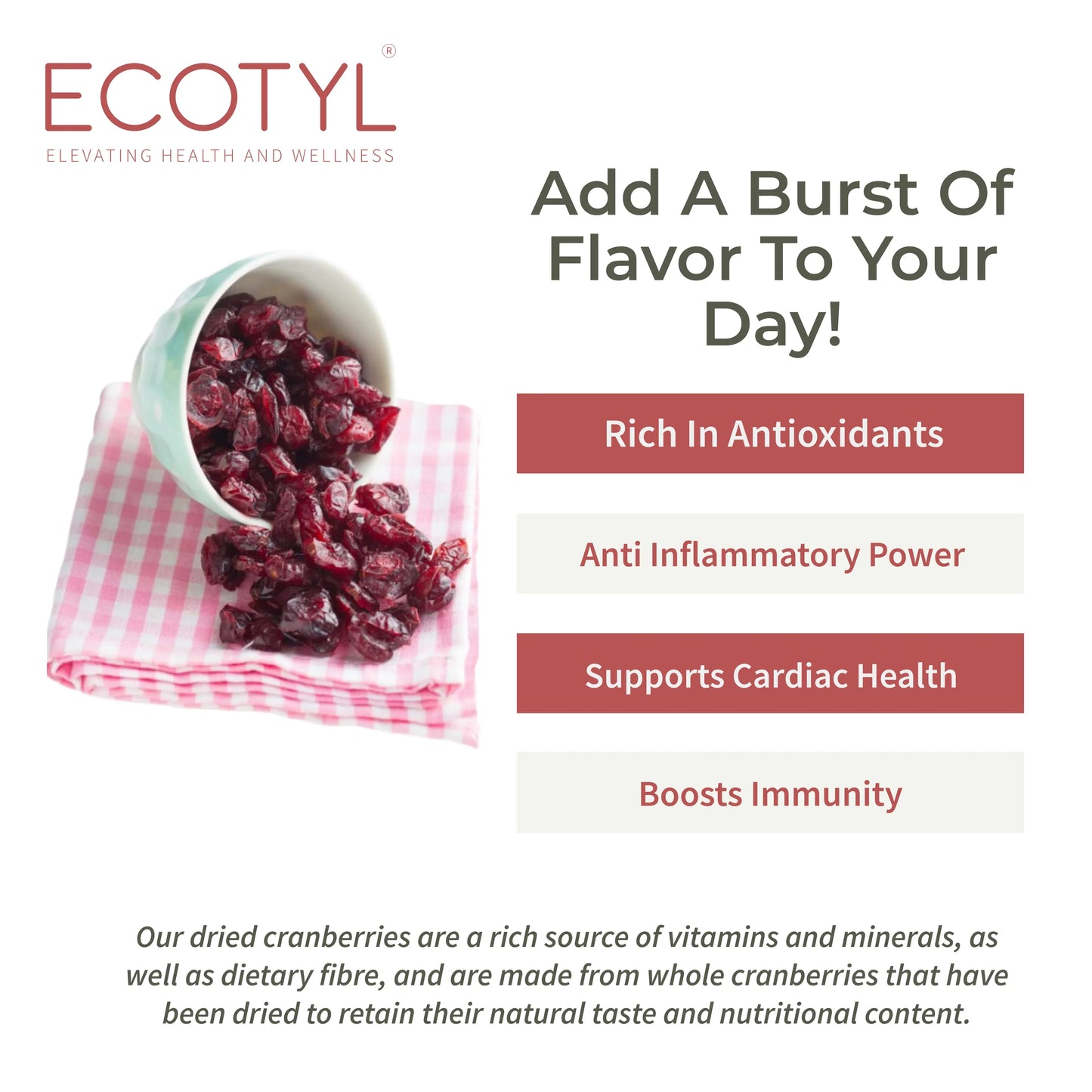 Ecotyl Dried Cranberries | Seedless Dried Fruit | Healthy Snack - 150g - Orgoshops