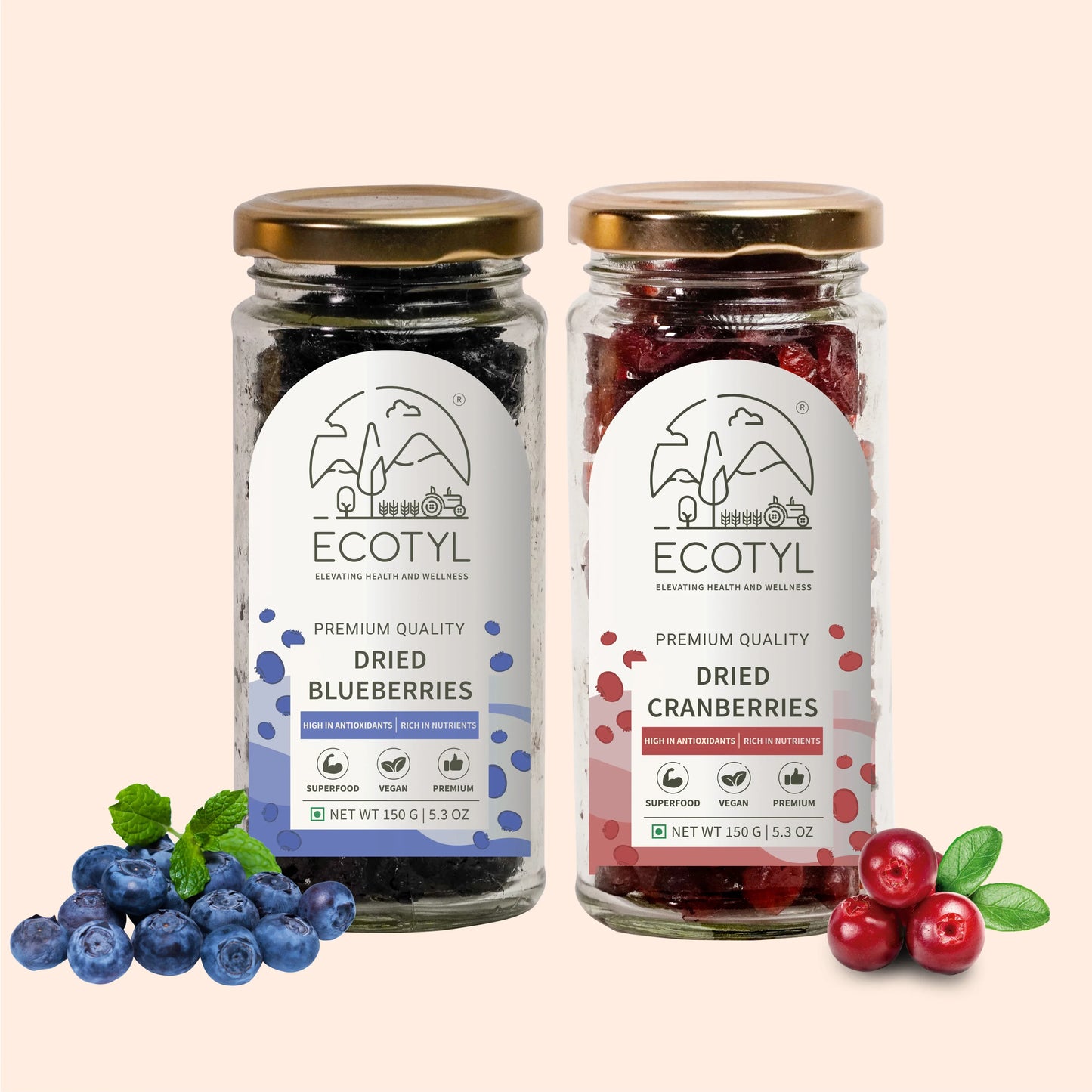 Dried Blueberres & Dried Cranberries Combo | Healthy Snacks | Dried Fruits - 150g (Each) - Orgoshops