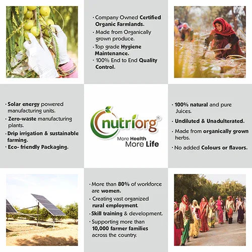 Nutriorg Aloevera Juice - 1000ml - Orgoshops