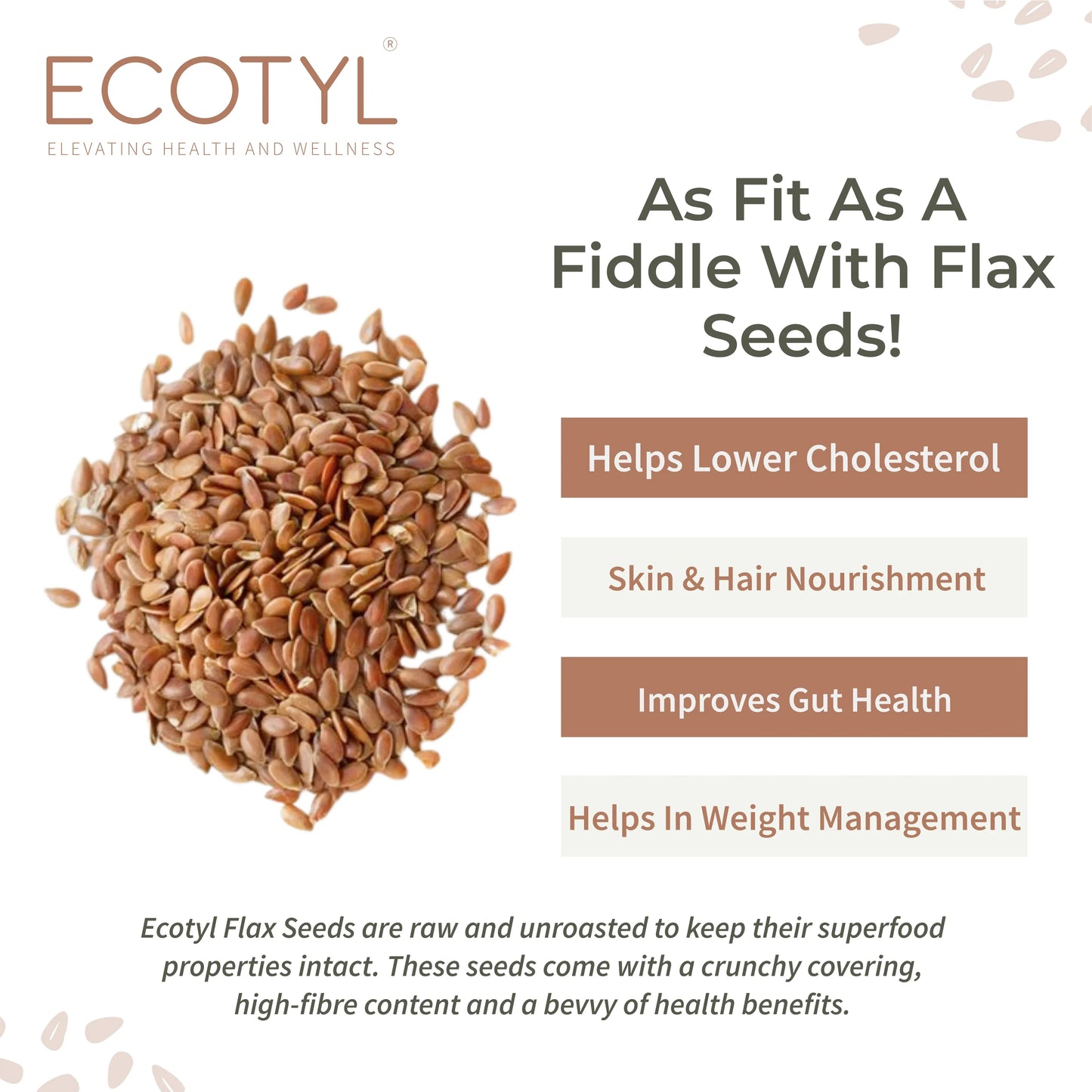 Ecotyl Flax Seeds Unroasted - 200g (Set of 2) - Orgoshops