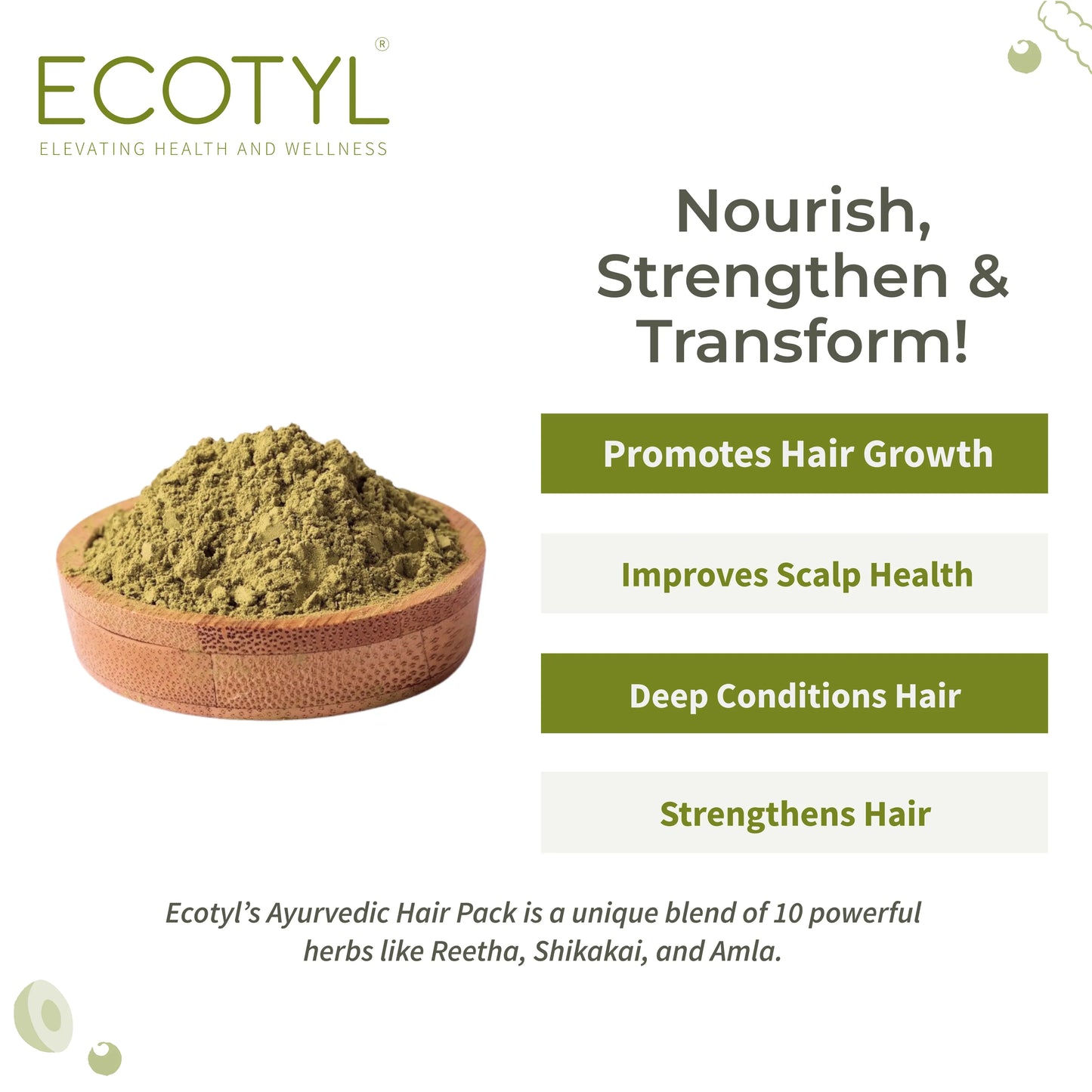 Ecotyl Ayurvedic Hair Pack | For Hair Conditioning & Strengthening | Blend of 10+ Herbs - 100g - Orgoshops