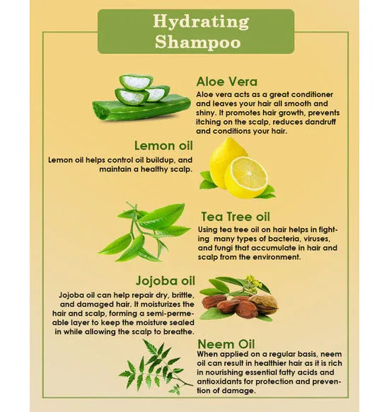 Ancient Living Hydrating Shampoo - 50 ml - Orgoshops