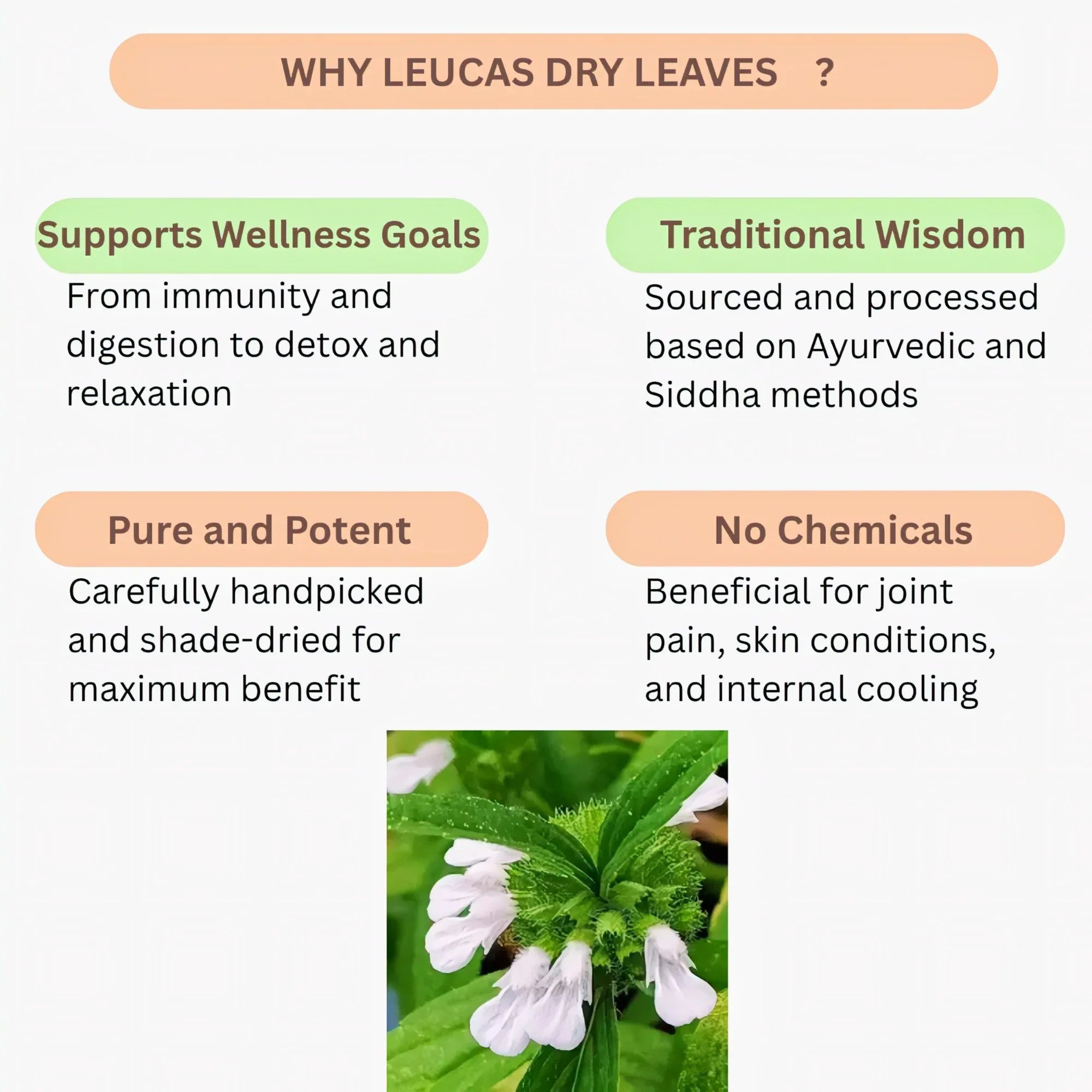 Oxygen Herbals Pure Leucas Dry Leaves - 150 g - Orgoshops