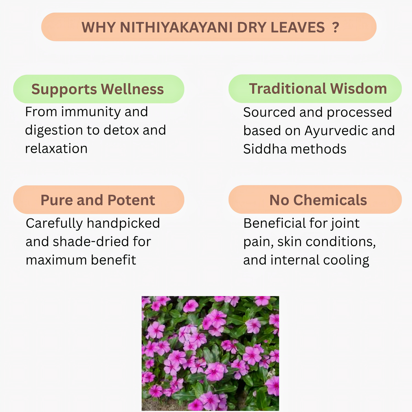 Oxygen Herbals Nithiyakayani Dry Leaves - 150 g