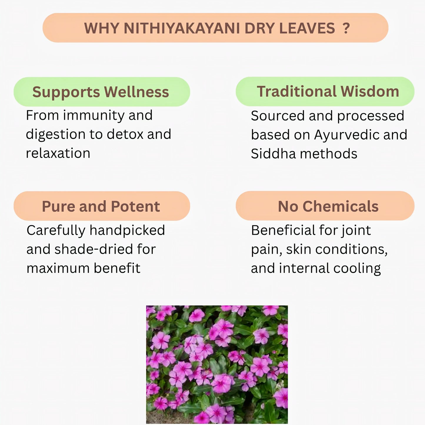 Oxygen Herbals Nithiyakayani Dry Leaves - 150 g - Orgoshops