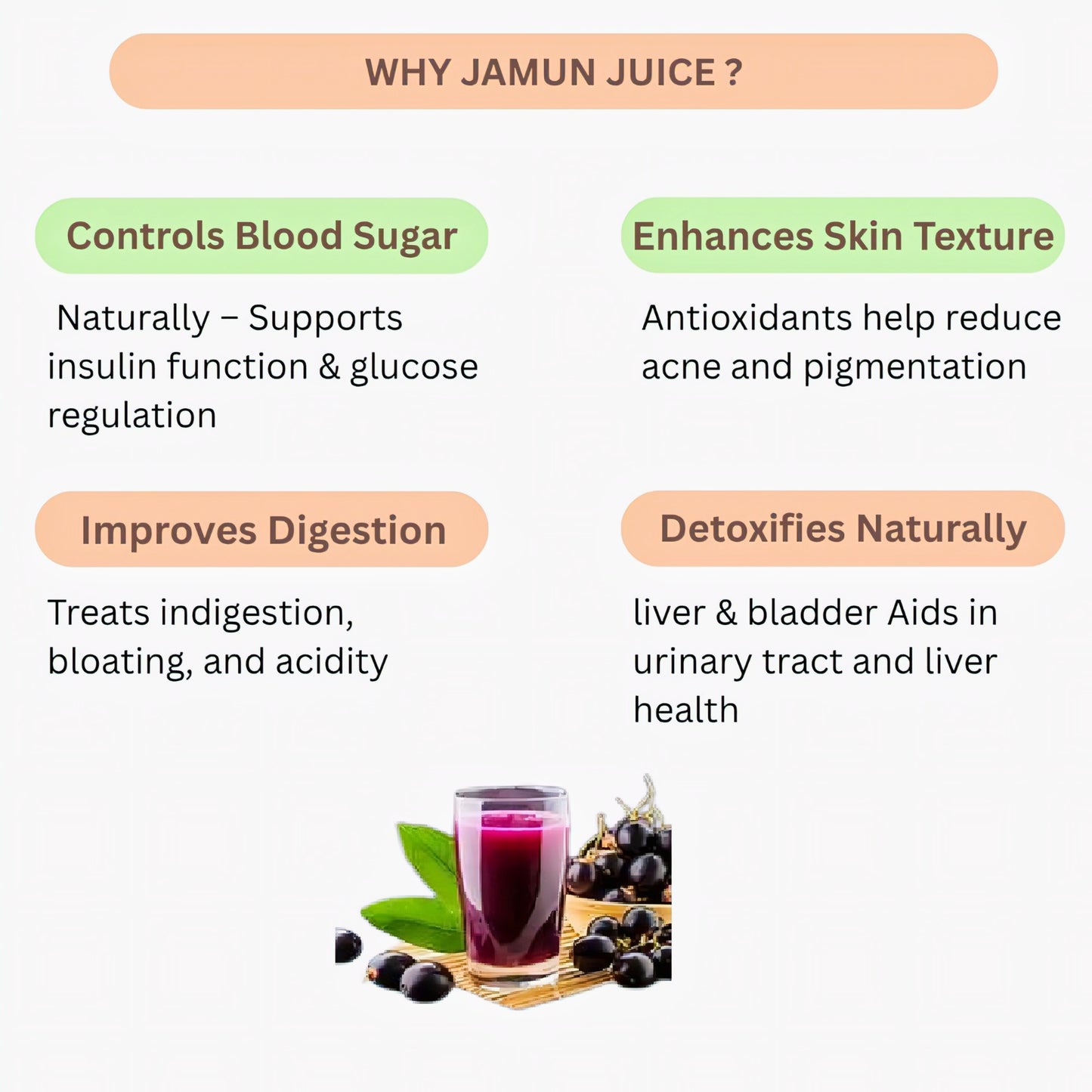 GJ Global Herbs Jamun Extract Juice - 500 ml