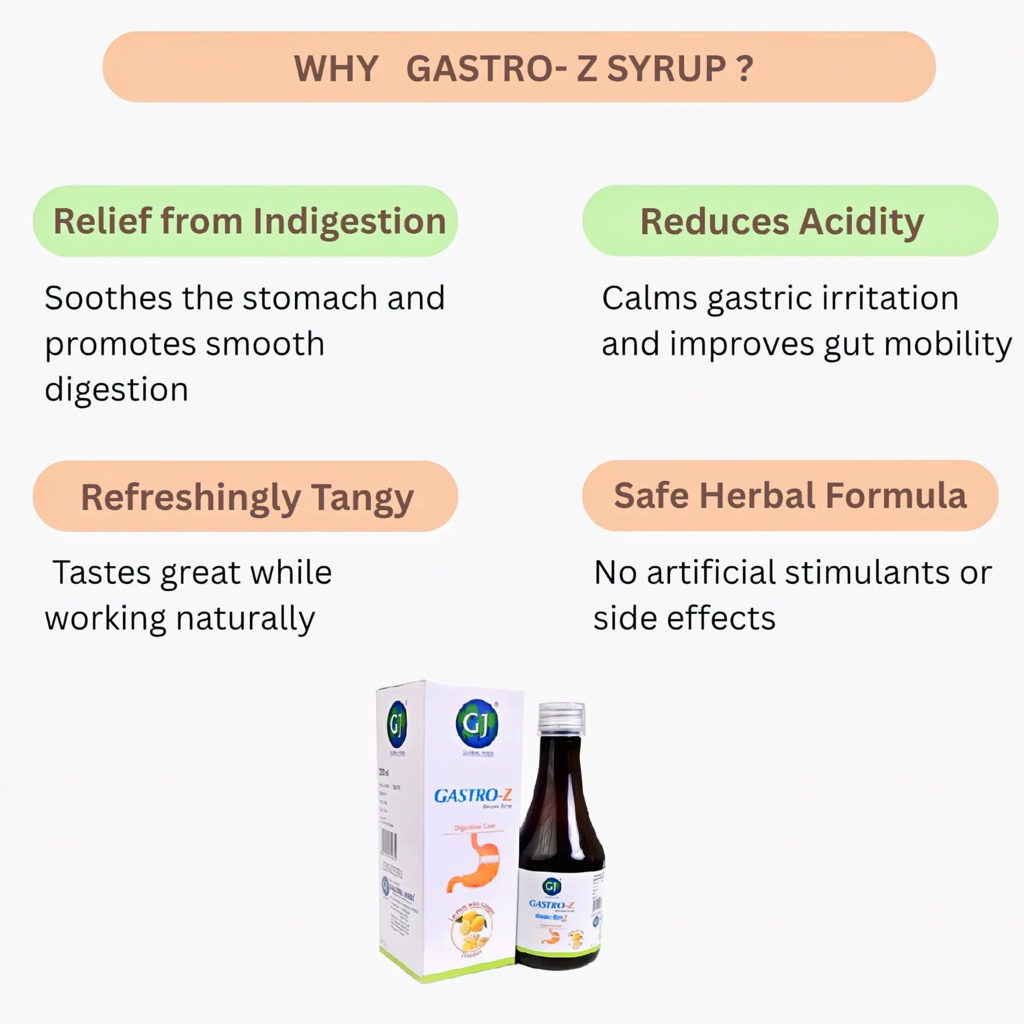 GJ Global Herbs Gastro - Z Syrup 200 ml (Pack of 2) - Orgoshops