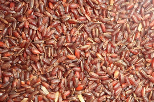 Kattuyanam Red Rice