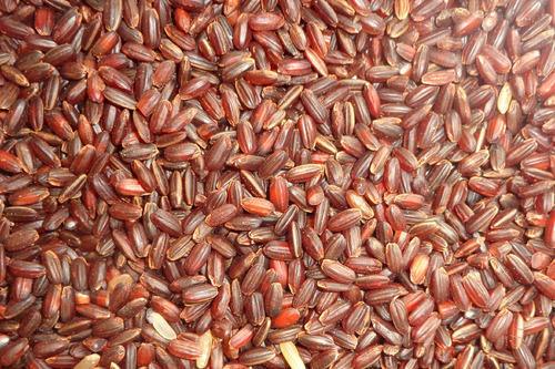 Thaiman Organic Kattuyanam Rice / Red Rice - 2 kg - Orgoshops