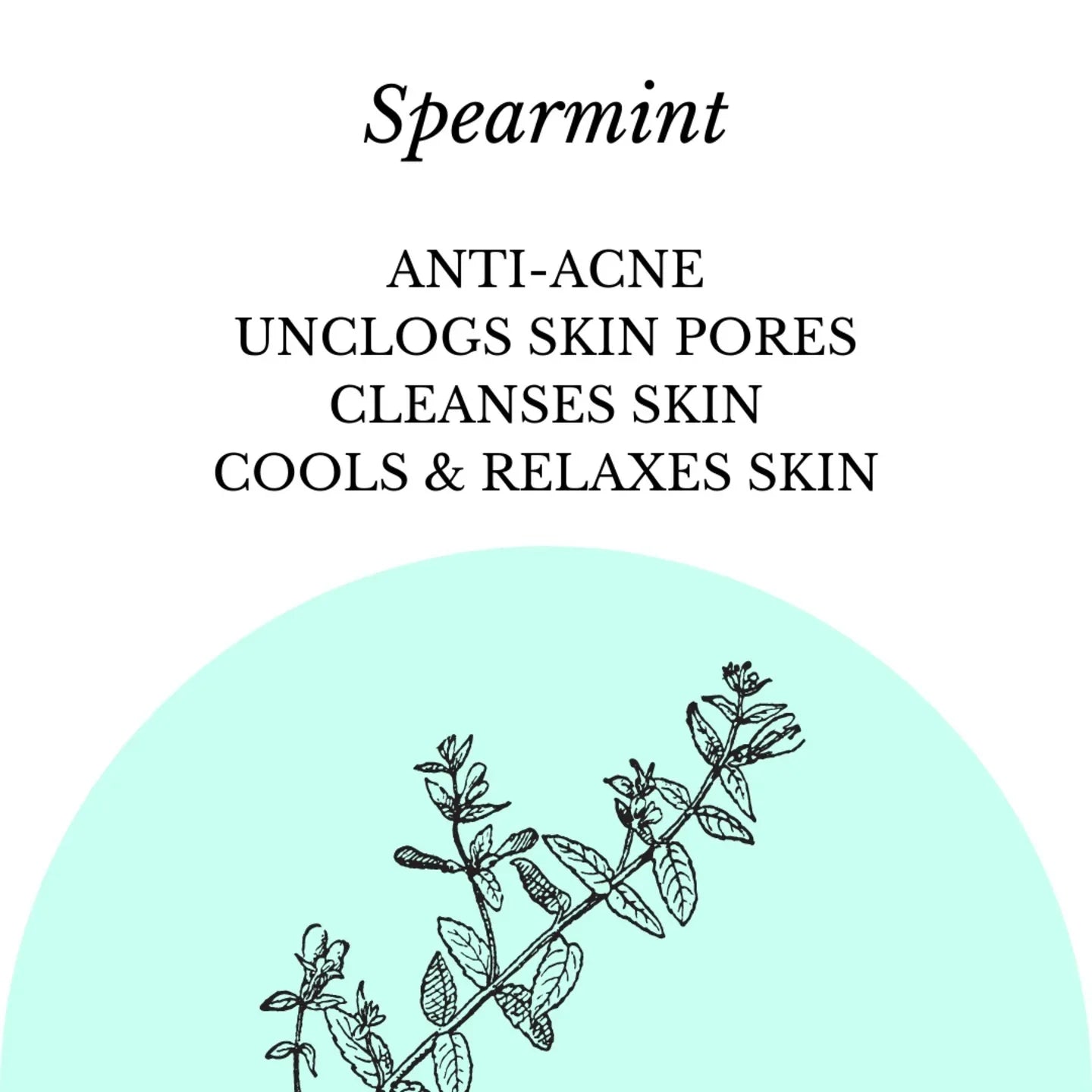 Fuschia - Spearmint Natural Handmade Glycerine Soap - 100g - Orgoshops