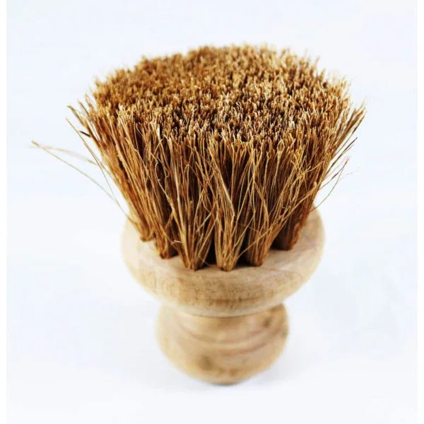 Onearth Pan Cleaning Coir Brush - Orgoshops