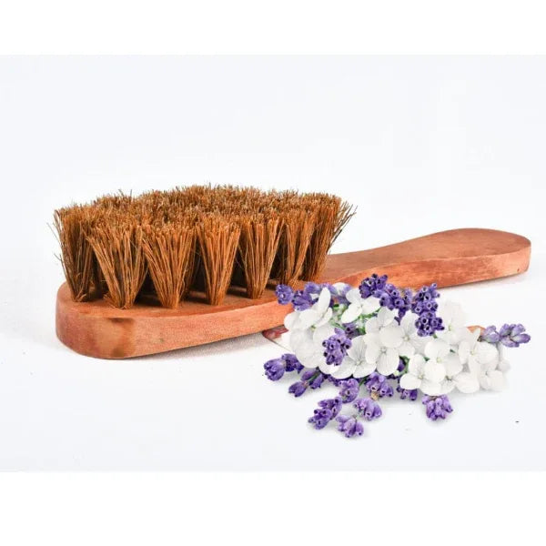 Onearth Exfoliating Dry Body Coir Brush - Orgoshops