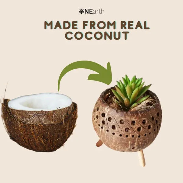 Onearth Planter / Tea Light Candle Holder – Coconut Shell - Orgoshops
