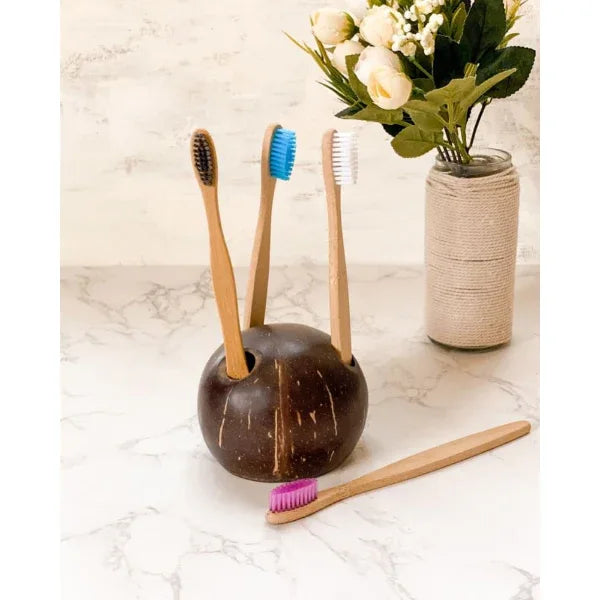 Onearth Coconut Shell Toothbrush Holder - Orgoshops
