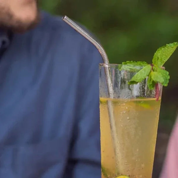 Onearth Stainless Steel Straws With Cleaner – Steel (1 ST+1 Bend) - Orgoshops