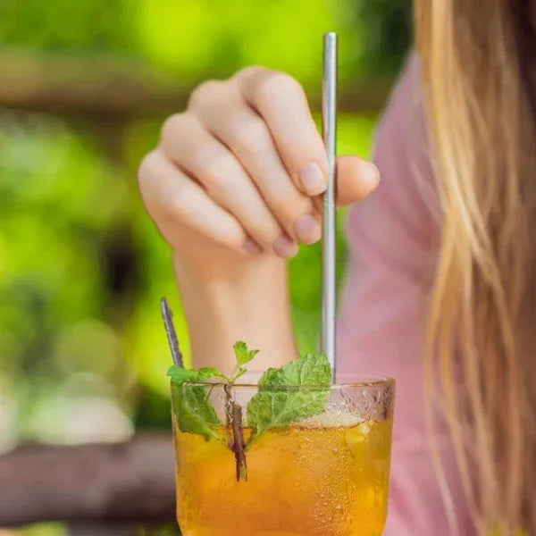 Onearth Stainless Steel Straws With Cleaner – Steel (1 ST+1 Bend) - Orgoshops