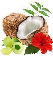 Organic Mooligai Coconut Oil Online