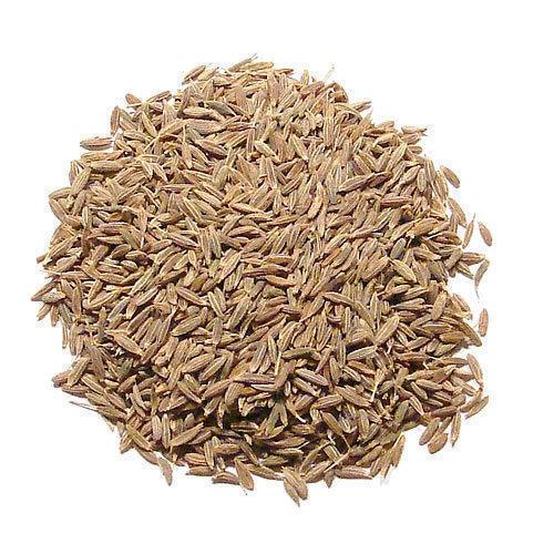 Organic seeragam poder online