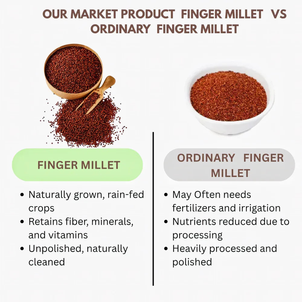 Thaiman Organic Ragi / Keluvarugu / Millet / Finger Millet - 2 kg - Orgoshops