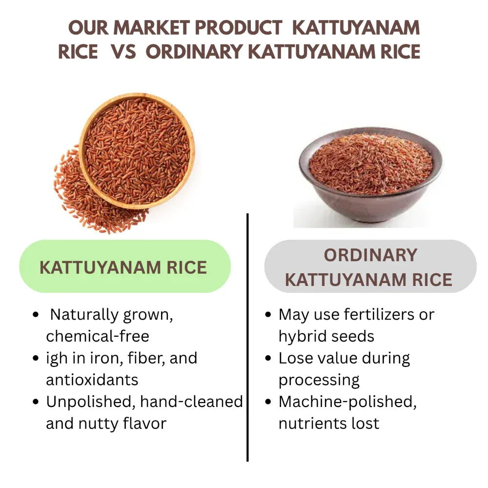 Thaiman Organic Kattuyanam Rice / Red Rice - 2 kg - Orgoshops