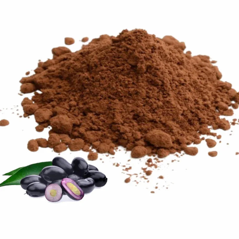 Nisarg Organic Farm Jamun Seeds Powder - Orgoshops