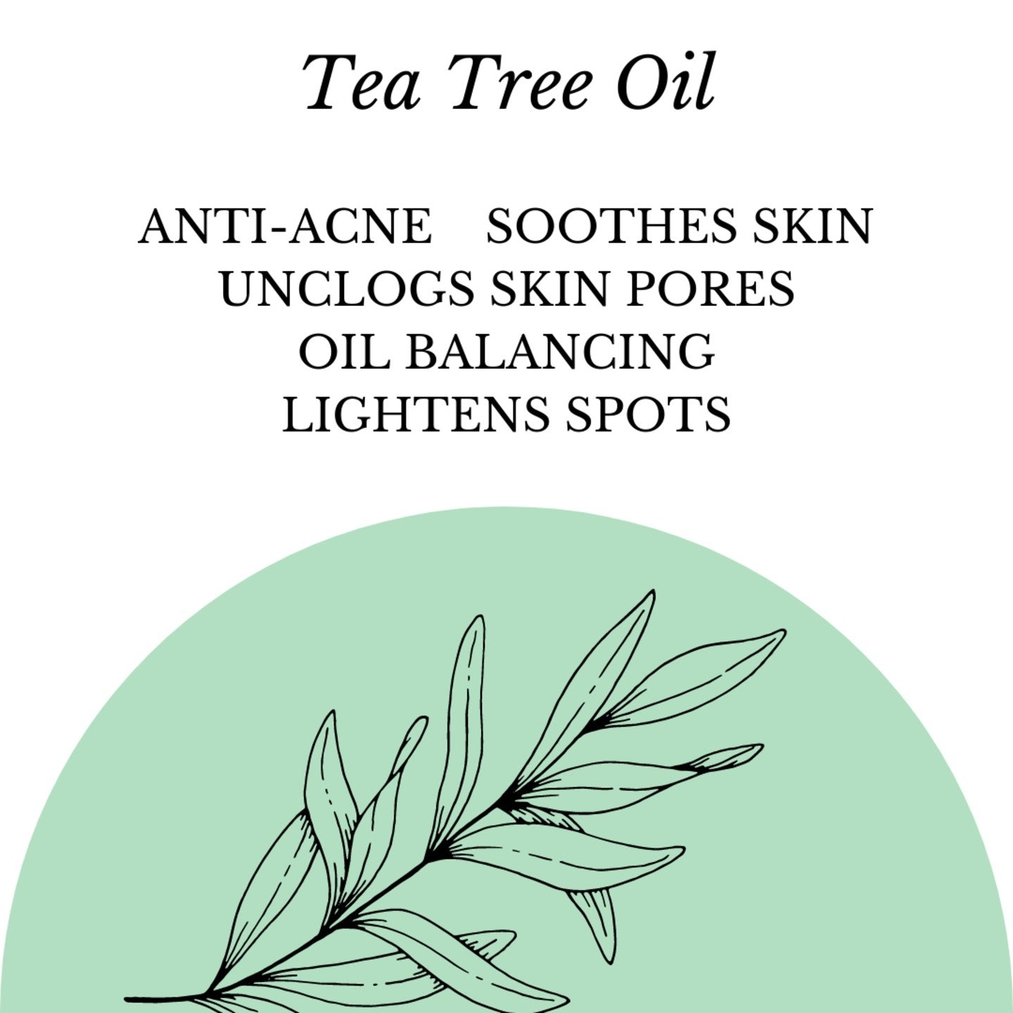 ஃபுஷியா - தேயிலை மர எண்ணெய் இயற்கை கையால் செய்யப்பட்ட மூலிகை சோப் - 100 கிராம்