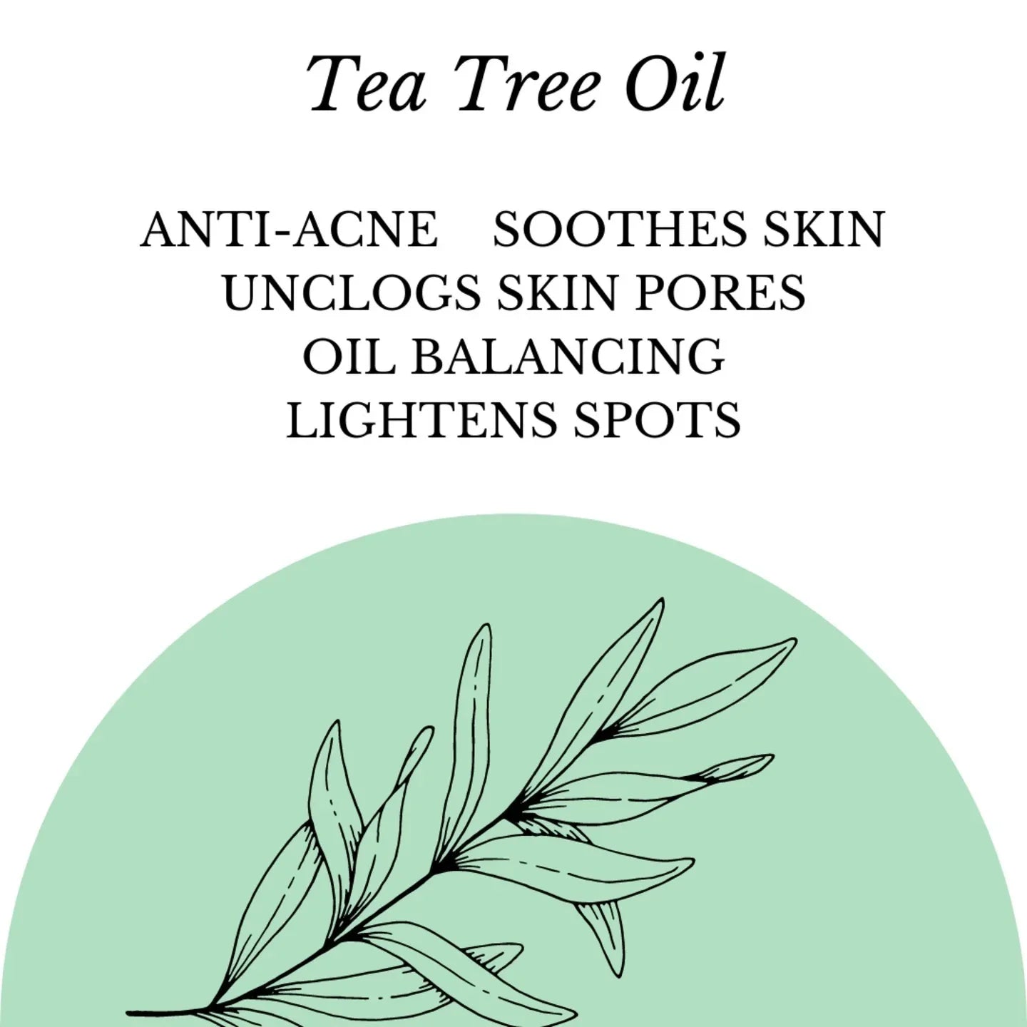 Fuschia - Tea Tree Oil Natural Handmade Herbal Soap - 100g - Orgoshops