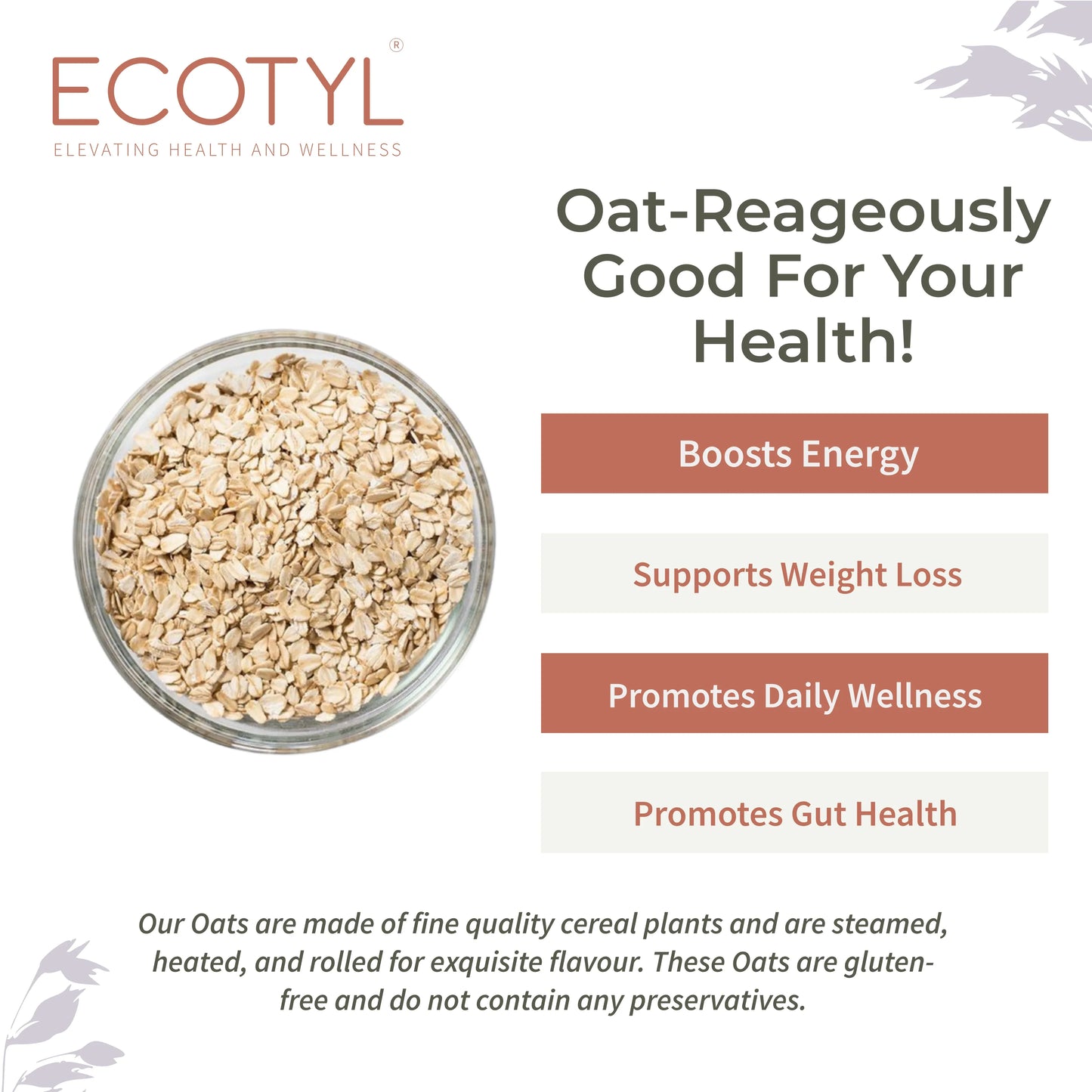 Ecotyl Rolled Oats | Gluten Free | Protein Rich - 500g - Orgoshops