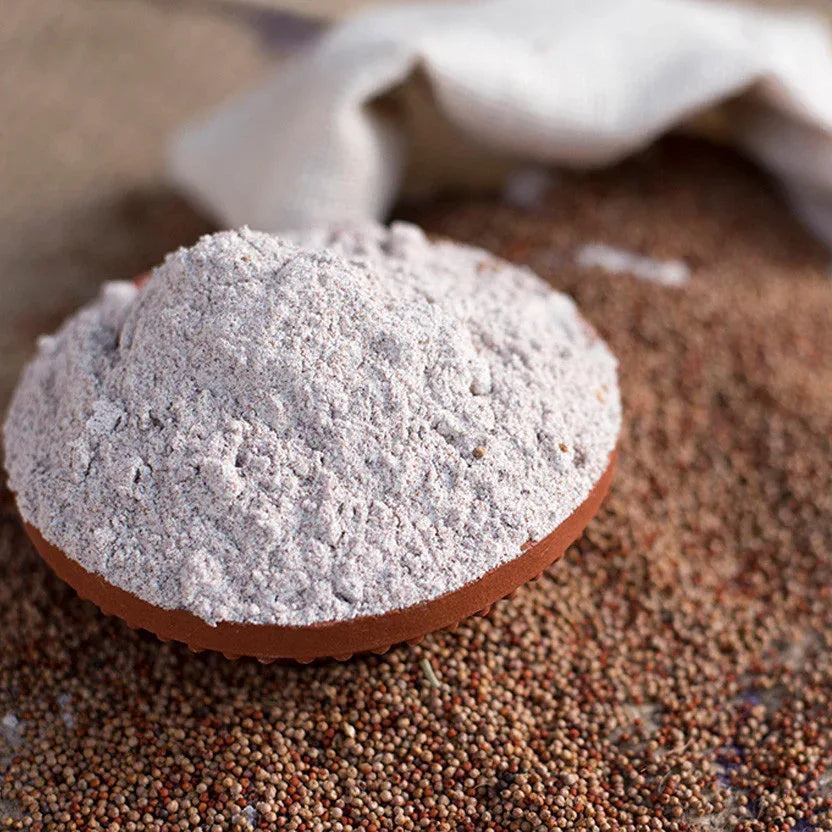 Roohi Finger Millet Dosa Mix / Ragi Dosa Mix - 500 gram - Orgoshops