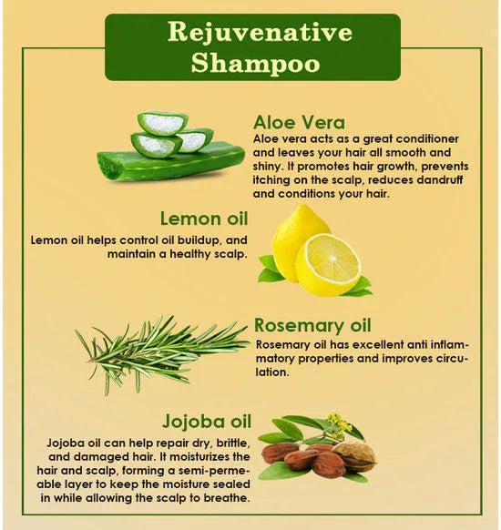 Ancient Living Rejuvenative Shampoo -200 ml - Orgoshops