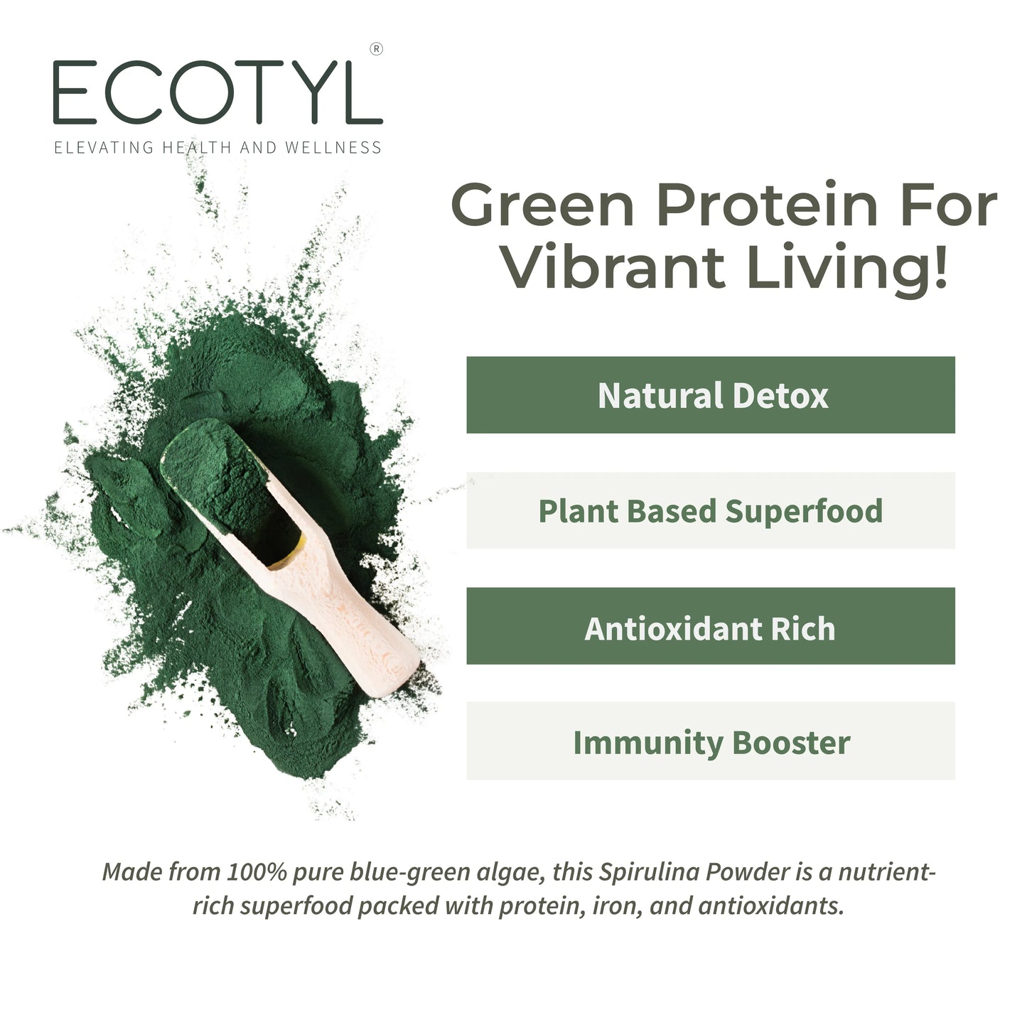 Ecotyl Spirulina Powder | Superfood | High Protein & Nutrients - 100g - Orgoshops