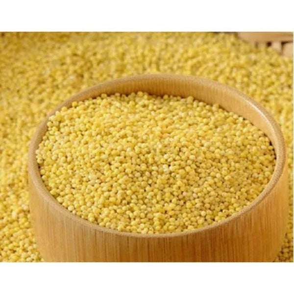 Thaiman Organic Samai / Millet / Little Millet - 2 kg - Orgoshops