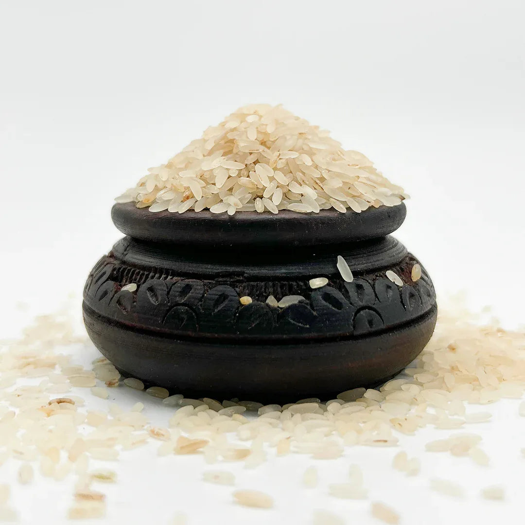 Araikkal Sivan Samba Arisi / Sivan Samba Rice - 500 g ( Pack of 2) - Orgoshops