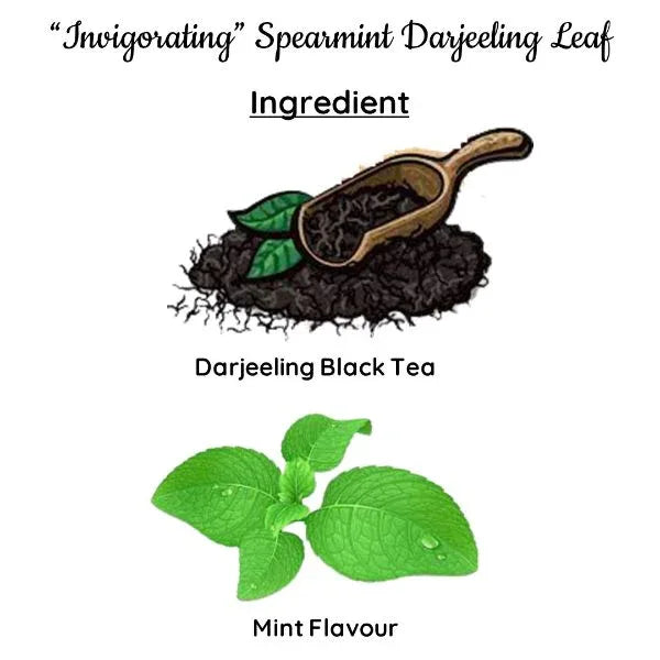 Invigorating Spearmint | Cold & Hot Brew | (50 gm) CupsMakes 25 - Orgoshops