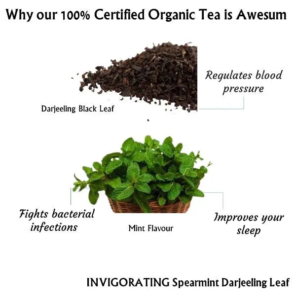 Invigorating Spearmint | Cold & Hot Brew | (50 gm) CupsMakes 25 - Orgoshops