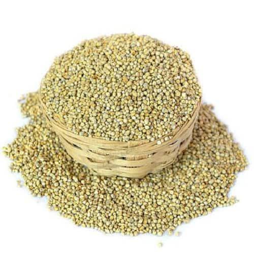 Araikkal Kambu millet / Kambu Thaniyam - 1 Kg (Pack of 2) - Orgoshops
