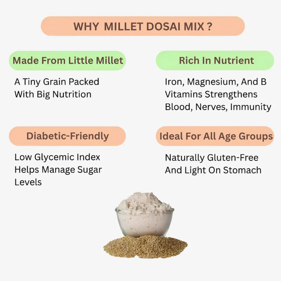 Shree Home Food Millet Dosai Mix - Orgoshops
