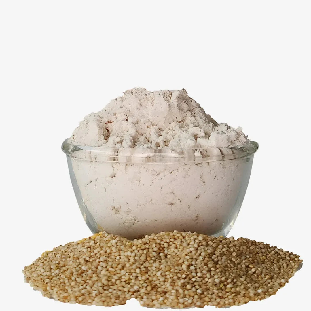 Shree Home Food Millet Dosai Mix - Orgoshops