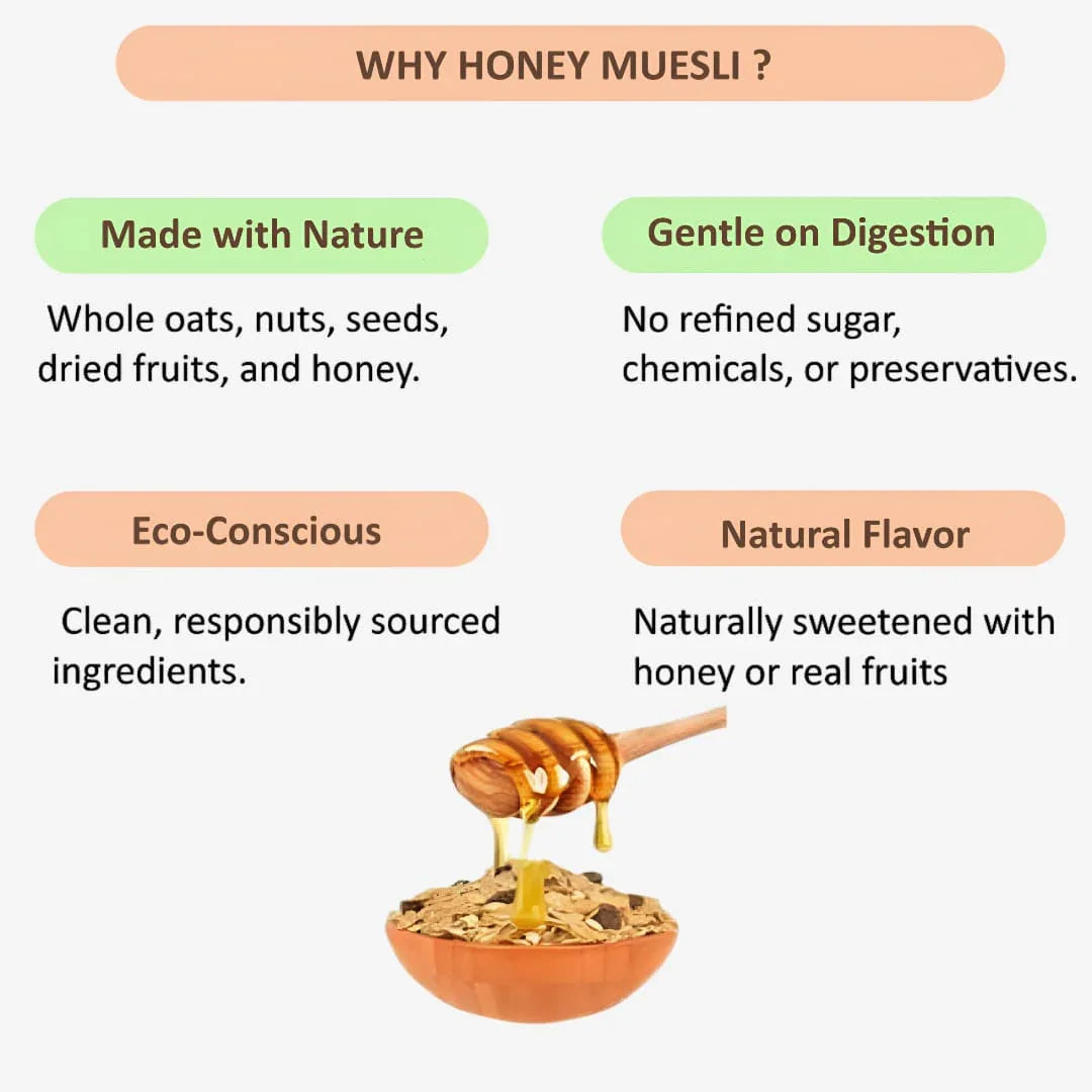 Shree Home Food Honey Muesli - 250 g - Orgoshops