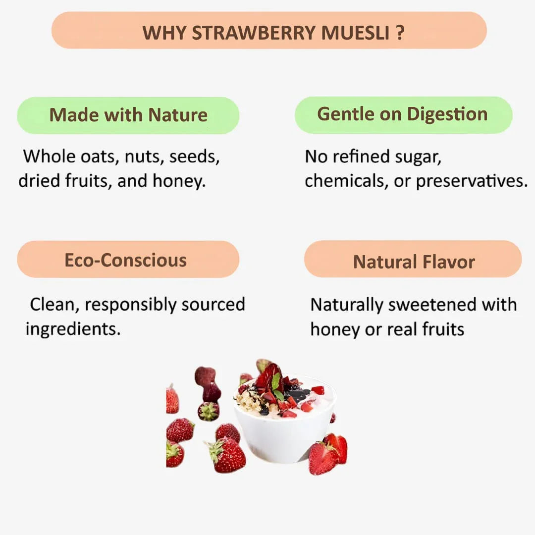 Shree Home Food Strawberry Muesli - 250 g - Orgoshops