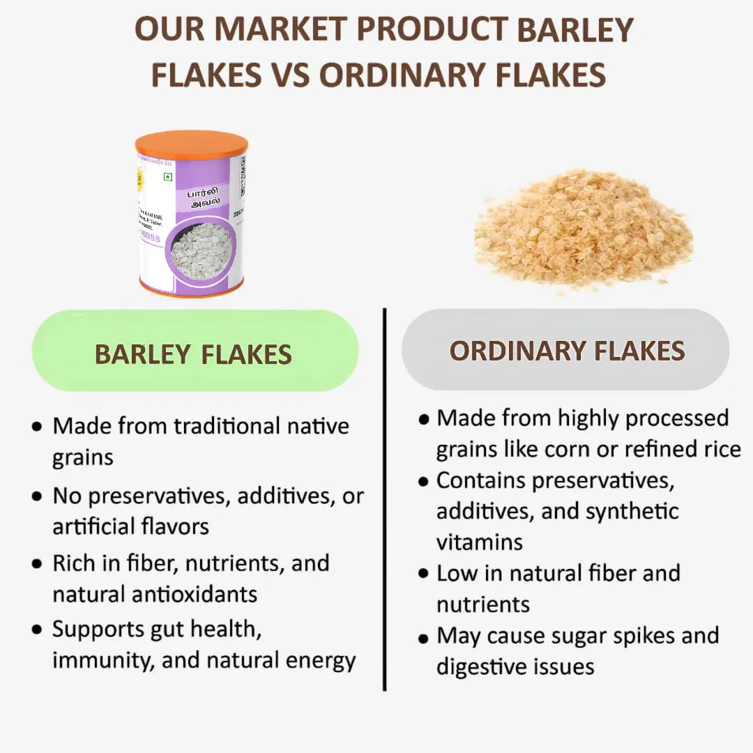 Shree Home Food Barley Flakes / Barley Aval - 500 g - Orgoshops