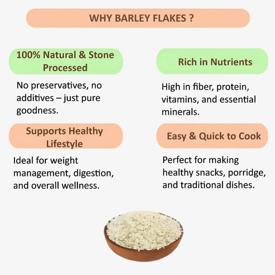 Shree Home Food Barley Flakes / Barley Aval - 500 g - Orgoshops