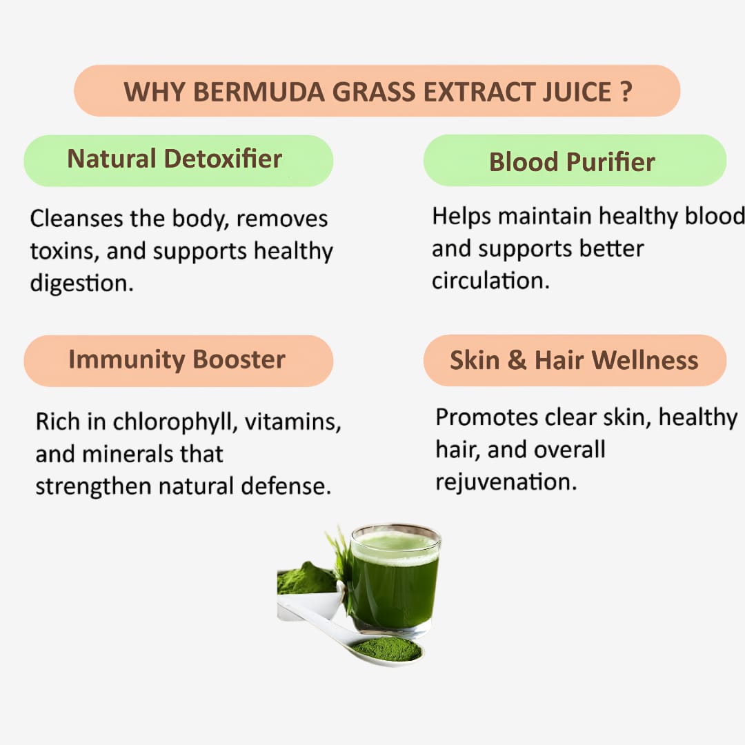 Gj Global Bermuda Grass Extract Juice - 500 ml