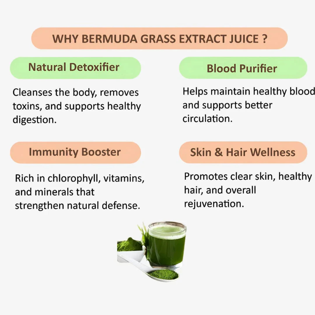 Gj Global Bermuda Grass Extract Juice - 500 ml - Orgoshops