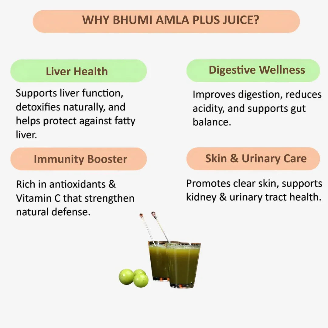 Gj Global Bhumi Amla Plus Juice - 500 ml - Orgoshops