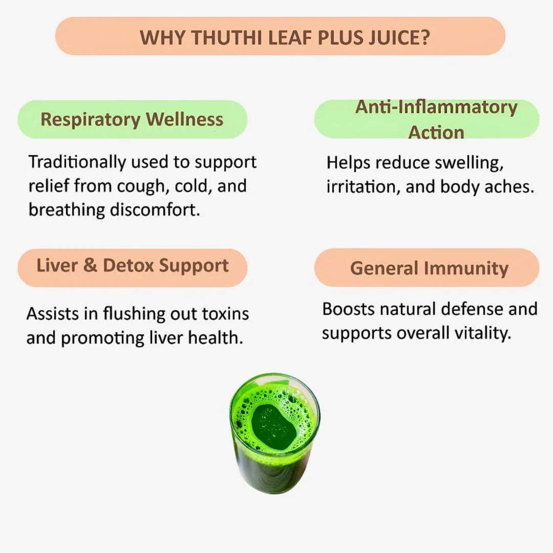 Gj Global Thuthi Leaf Plus Extract Juice ( Piles Care ) - 500 ml - Orgoshops